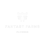 fantasy Farm white